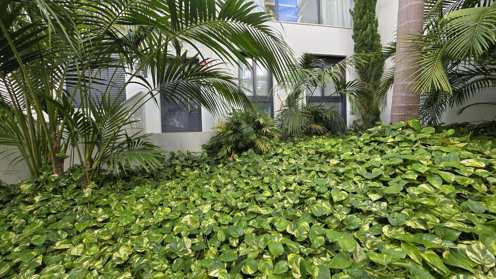 3 quarto Apartamento para venda em Nerja com piscina garagem - 799 000 € (Ref: 9872652)
