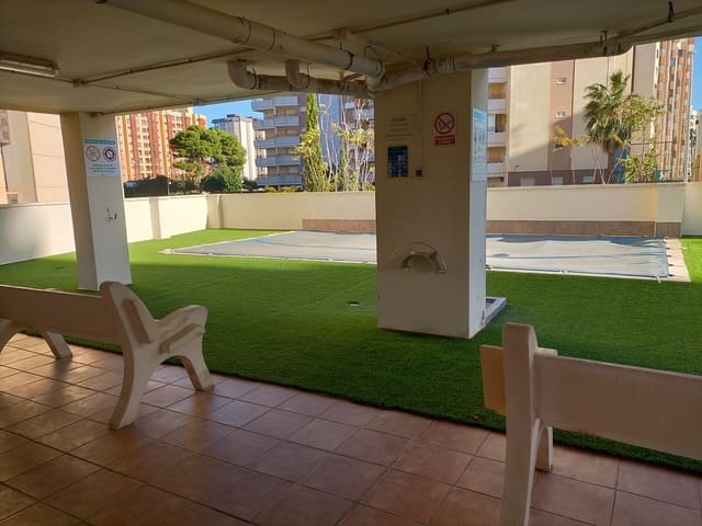 3 sovrum Lägenhet till salu i Gandia med pool garage - 360 000 € (Ref: 10102888)