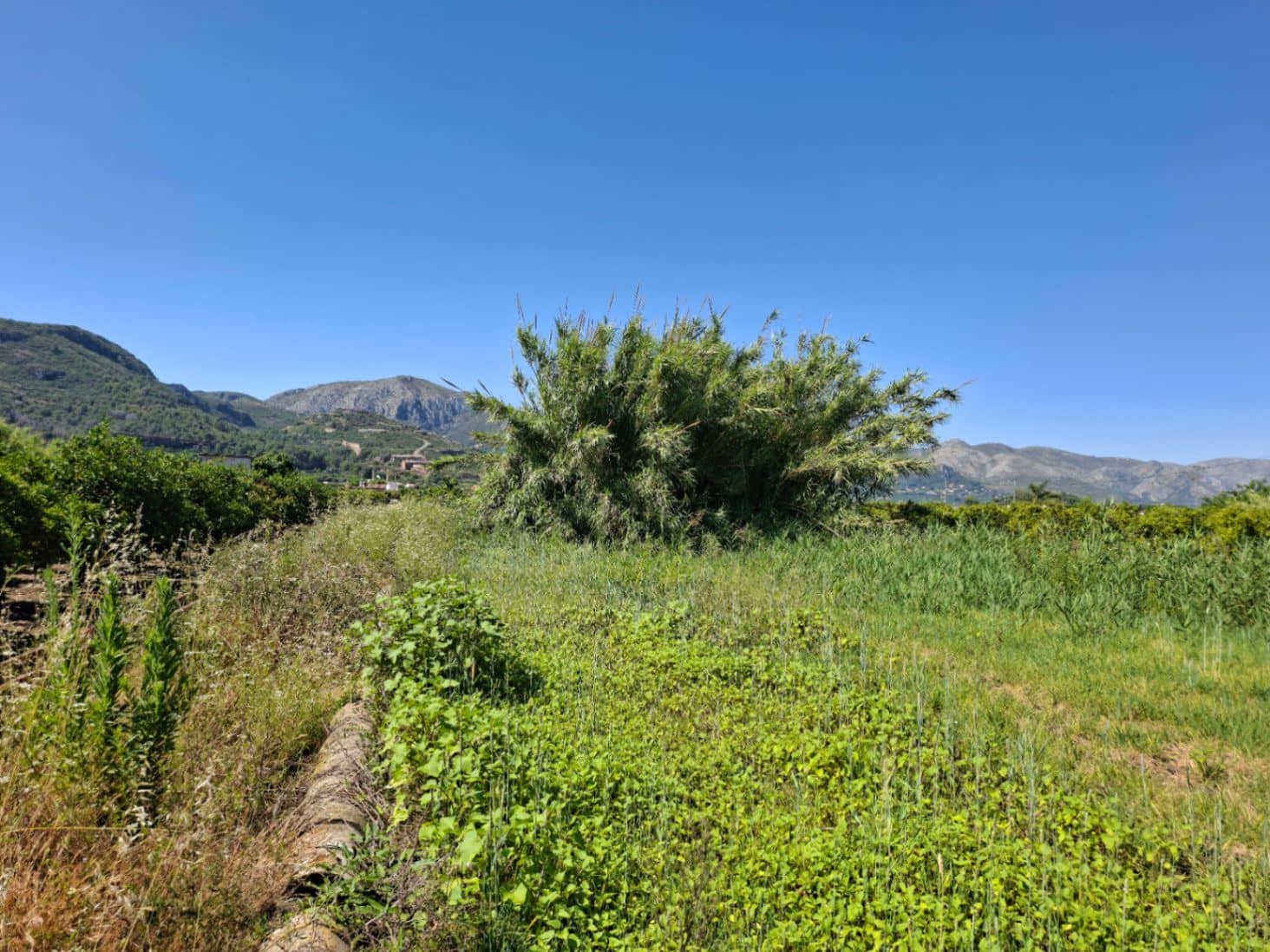 Terrain à Bâtir à vendre à Pego - 40 000 € (Ref: 10102891)