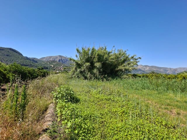 Terrain à Bâtir à vendre à Pego - 40 000 € (Ref: 10102891)