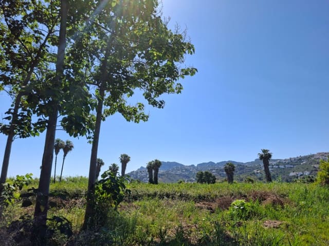 Terrain à Bâtir à vendre à Pego - 40 000 € (Ref: 10102891)