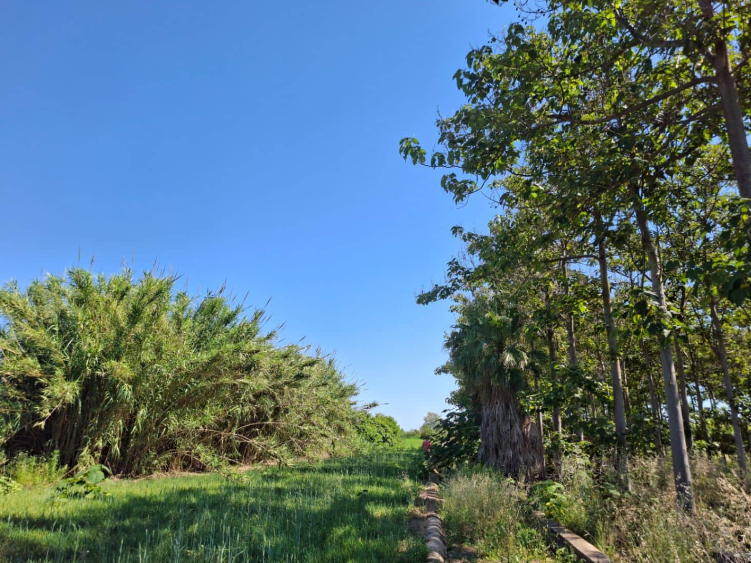 Terrain à Bâtir à vendre à Pego - 40 000 € (Ref: 10102891)