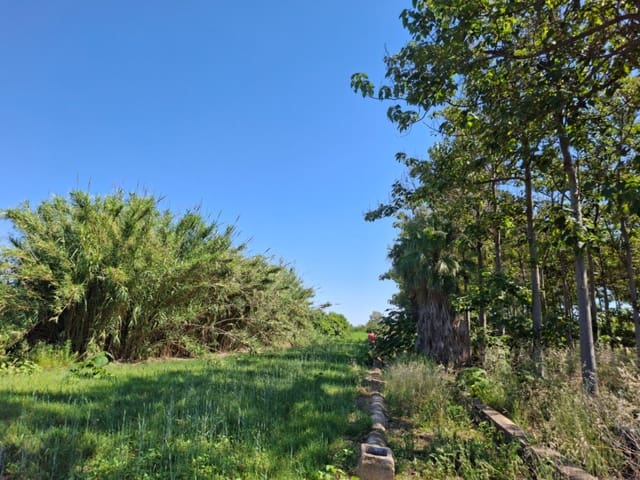 Terrain à Bâtir à vendre à Pego - 40 000 € (Ref: 10102891)