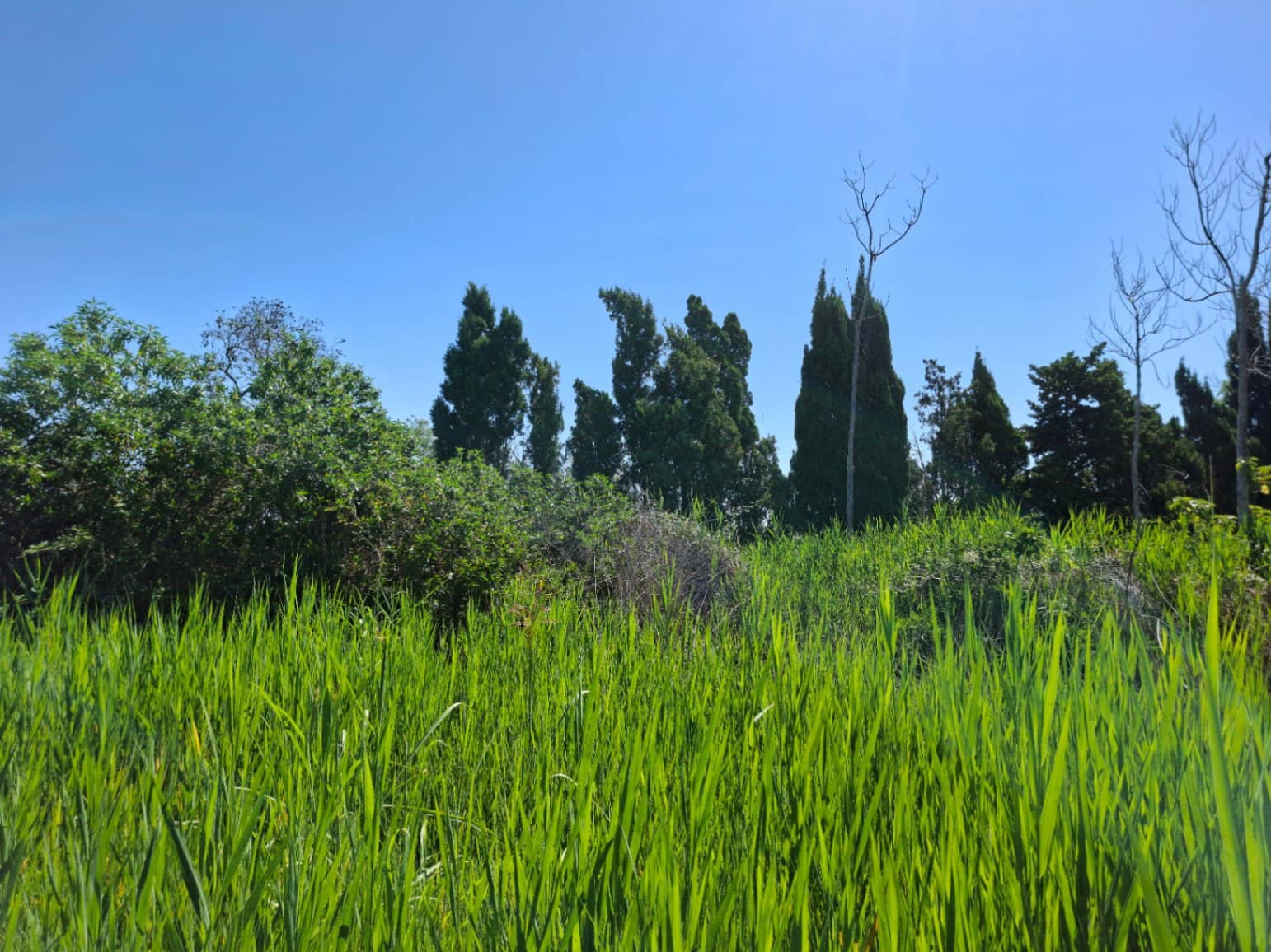 Terrain à Bâtir à vendre à Pego - 40 000 € (Ref: 10102891)