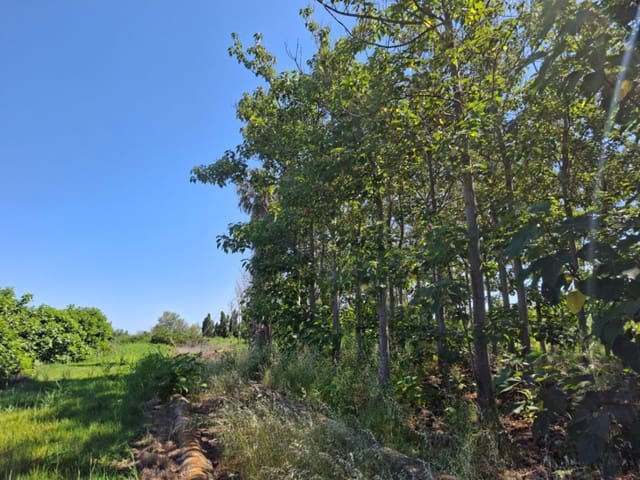 Terrain à Bâtir à vendre à Pego - 40 000 € (Ref: 10102891)