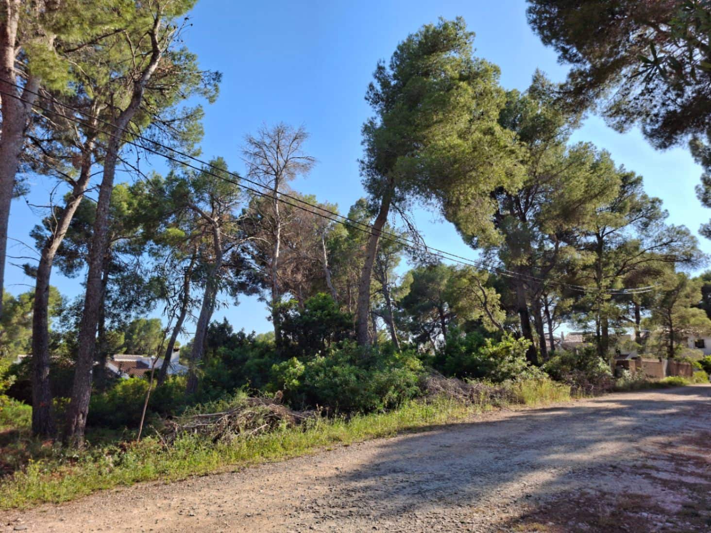 Terrain à Bâtir à vendre à Denia - 260 000 € (Ref: 10102892)