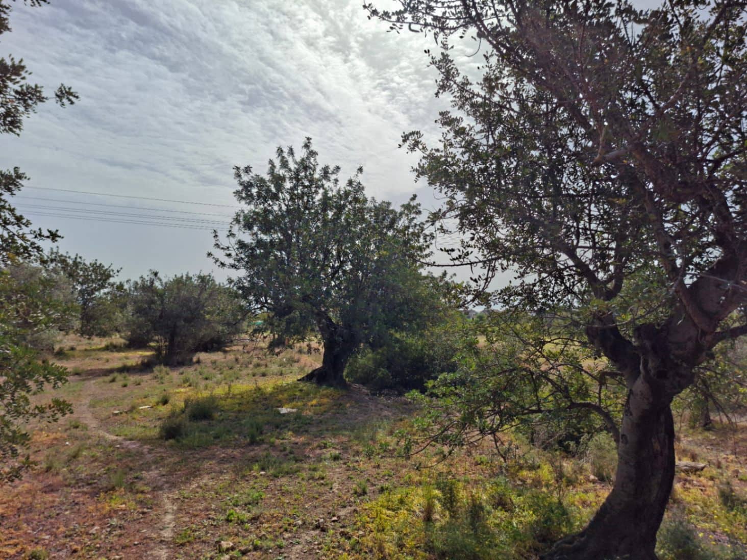 Bouwgrond te koop in Altea - € 470.000 (Ref: 10102902)