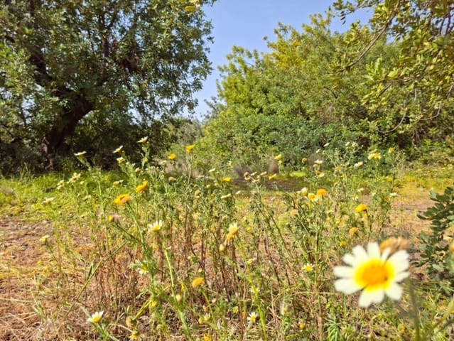Bouwgrond te koop in Altea - € 470.000 (Ref: 10102902)