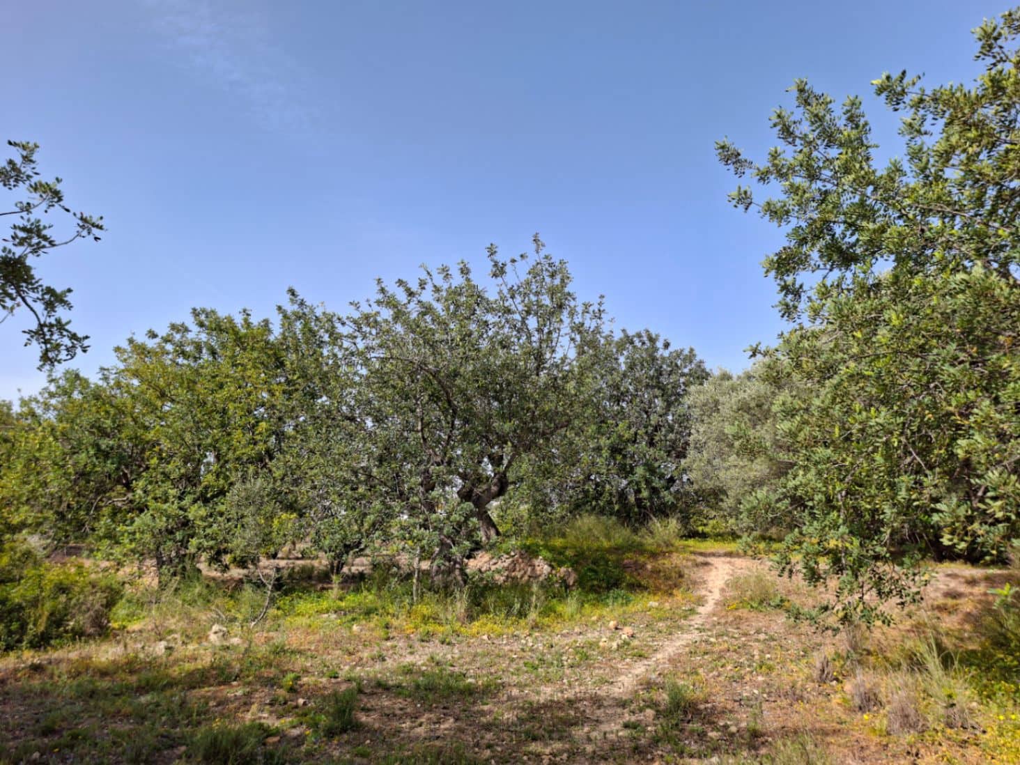Bouwgrond te koop in Altea - € 470.000 (Ref: 10102902)
