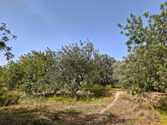 Bouwgrond te koop in Altea - € 470.000 (Ref: 10102902)