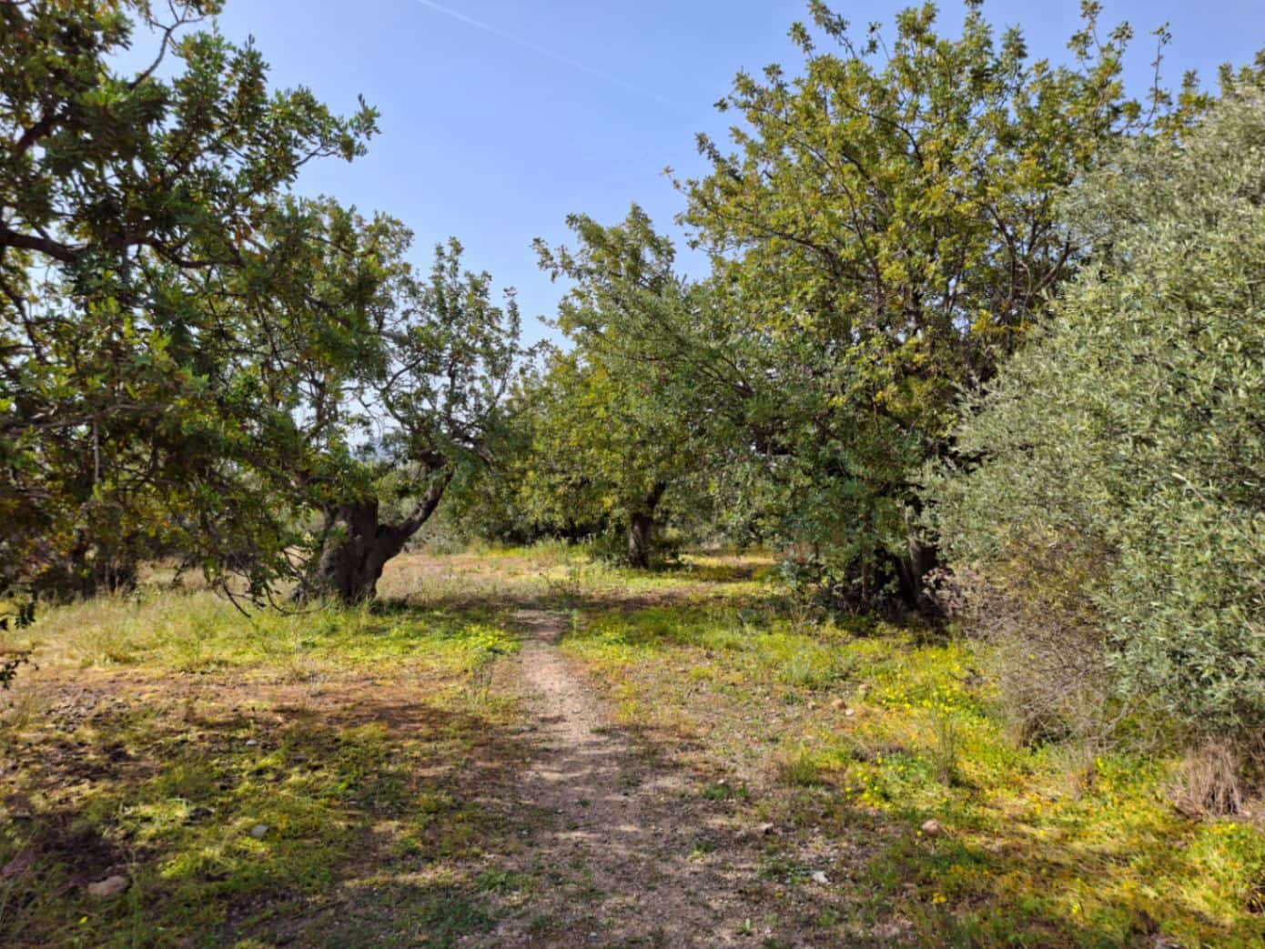 Bouwgrond te koop in Altea - € 470.000 (Ref: 10102902)
