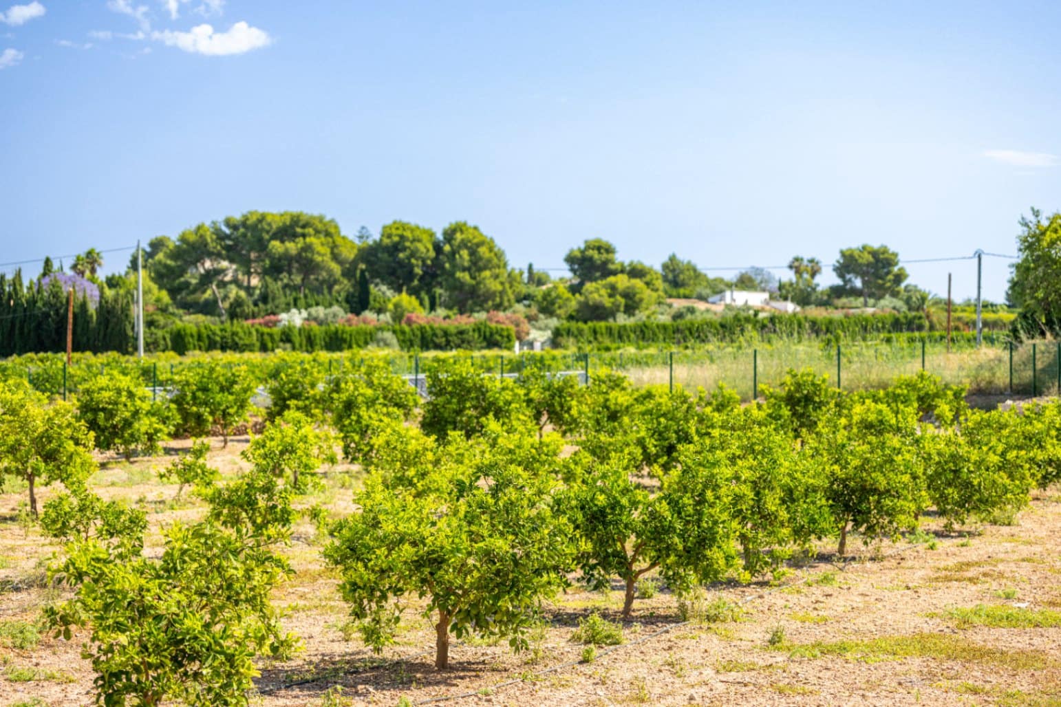 4 sovrum Finca/Hus på landet till salu i Denia med pool garage - 1 200 000 € (Ref: 10102909)
