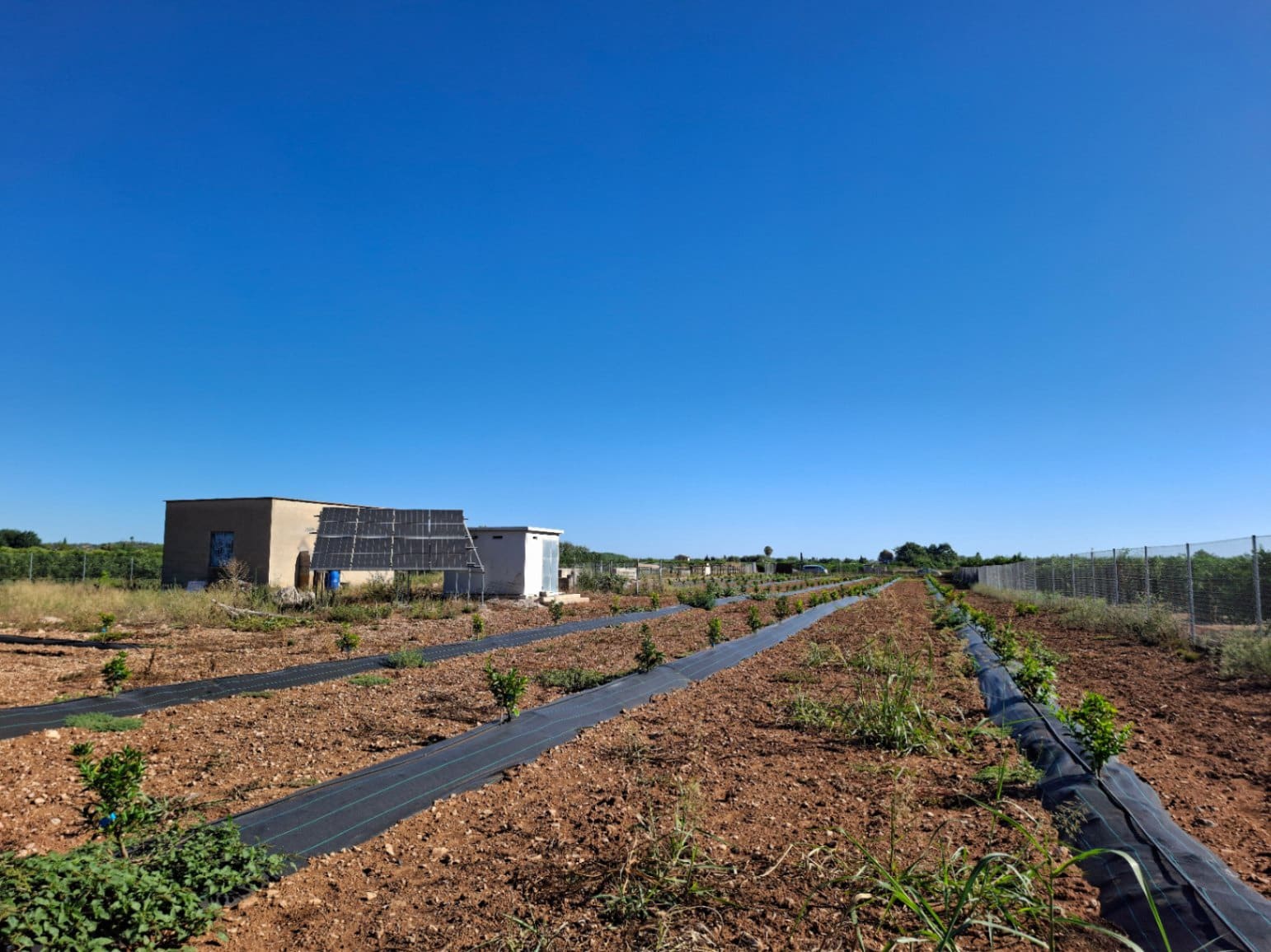 Bouwgrond te koop in Pego - € 159.000 (Ref: 10102911)