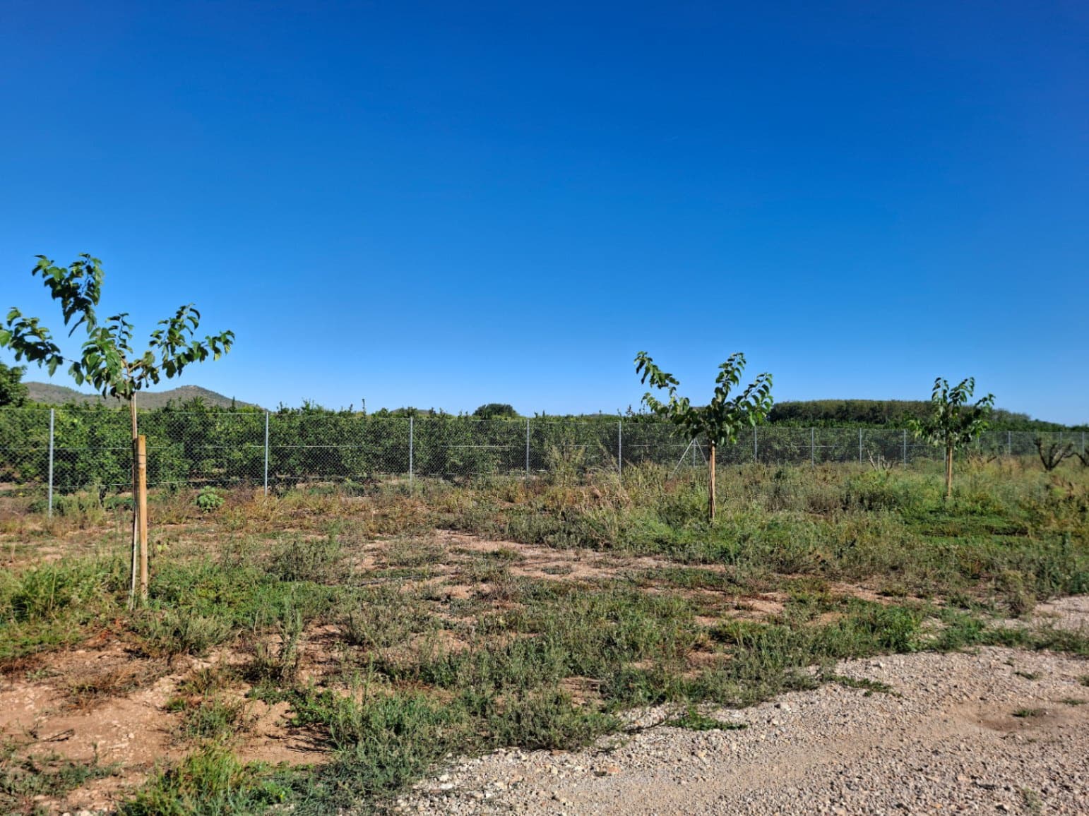 Bouwgrond te koop in Pego - € 159.000 (Ref: 10102911)