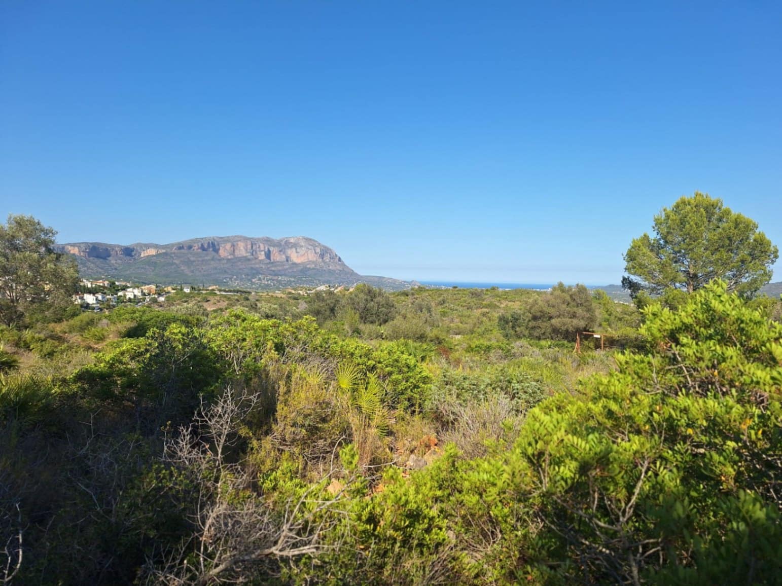 Bauplatz zu verkaufen in Pedreguer - 427.500 € (Ref: 10102937)