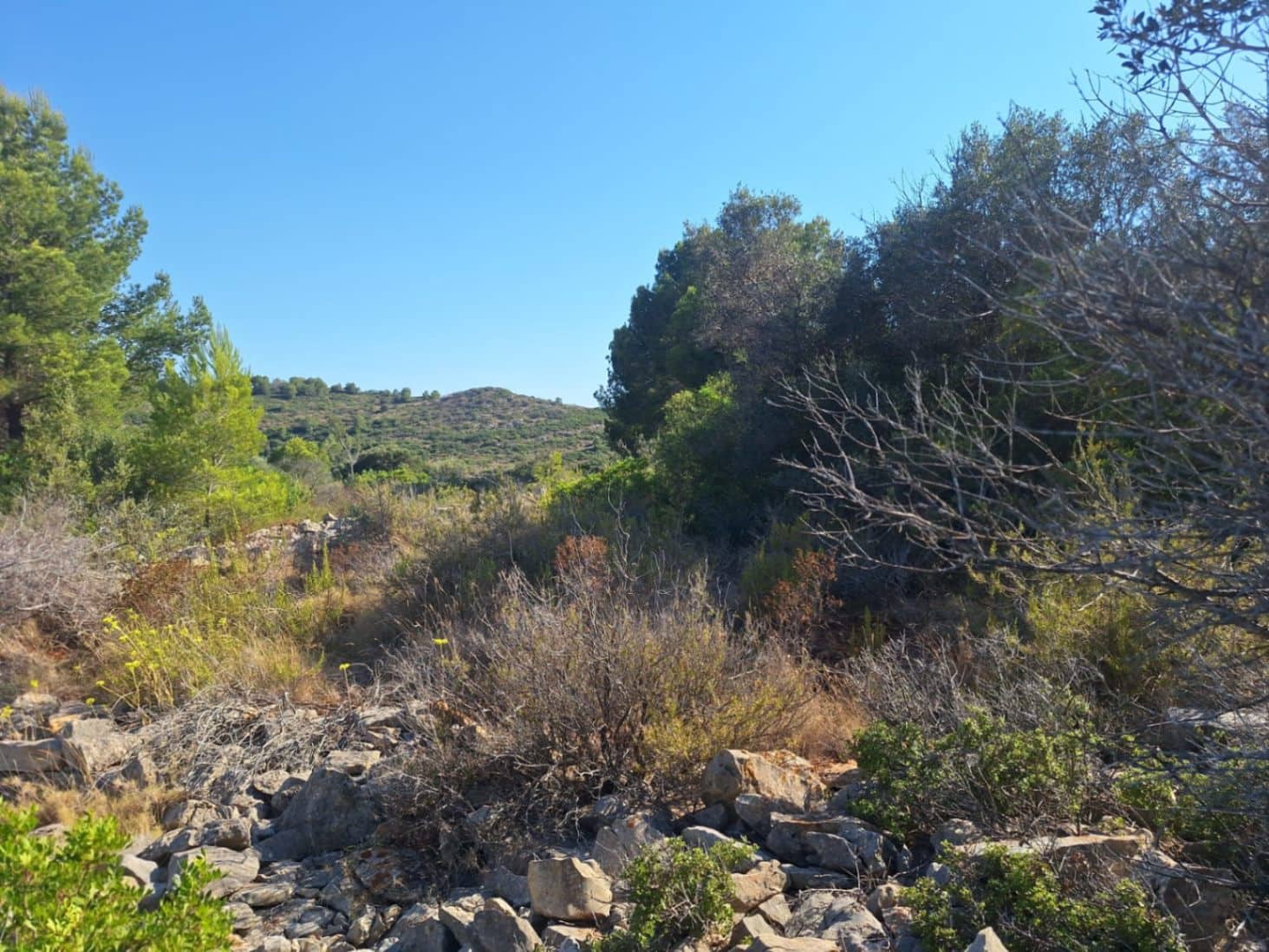 Bauplatz zu verkaufen in Pedreguer - 427.500 € (Ref: 10102937)