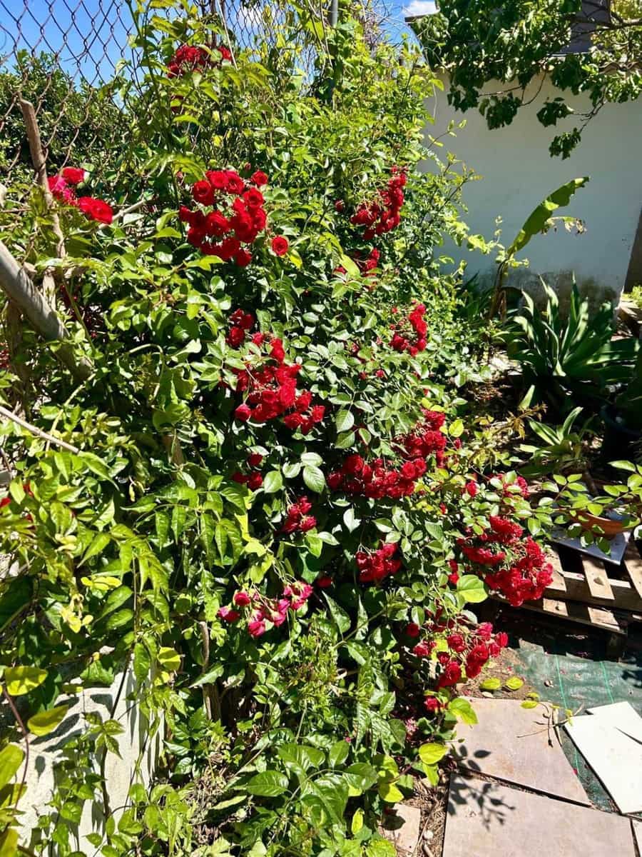 3 chambre Villa/Maison à vendre à El Vergel / Verger avec garage - 399 000 € (Ref: 10102942)