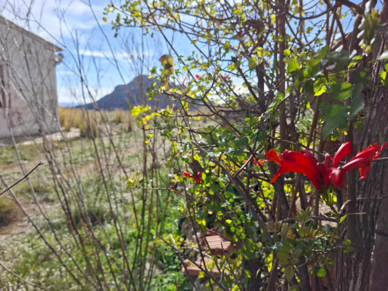 Terreno para Construção para venda em Benissa - 499 990 € (Ref: 10102945)