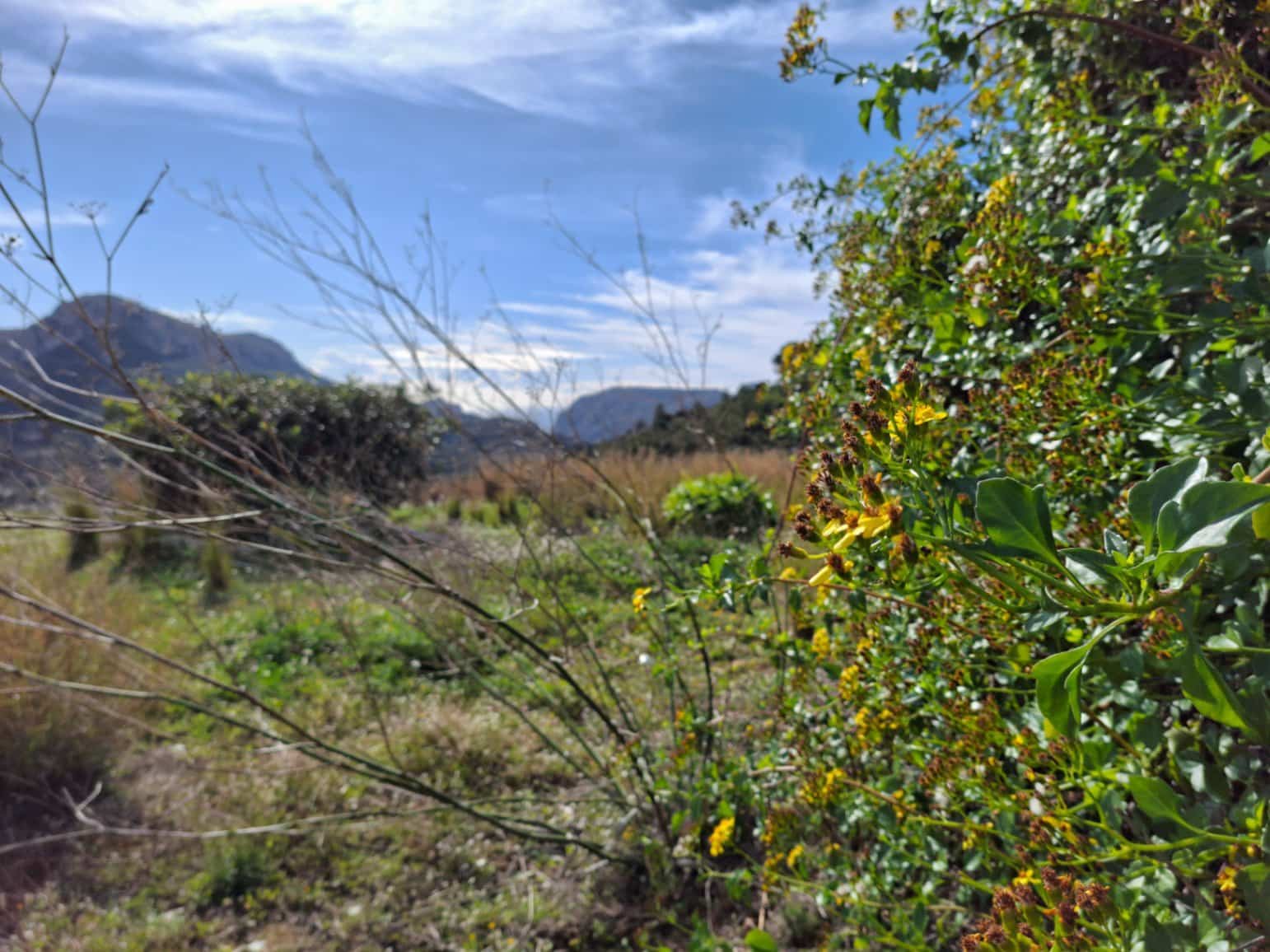 Terreno para Construção para venda em Benissa - 499 990 € (Ref: 10102945)