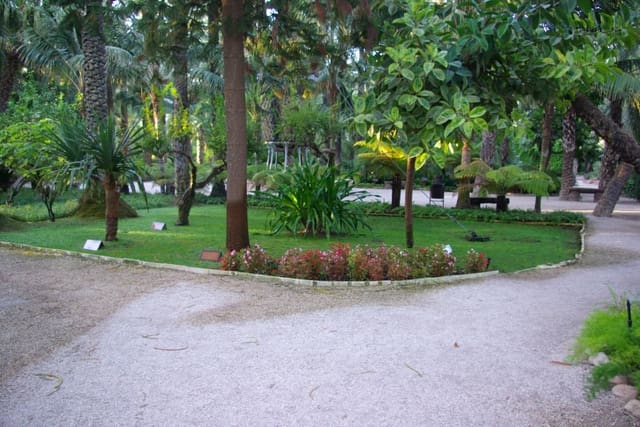 Local Comercial en Elche / Elx en venta - 6.000.000 € (Ref: 10102948)