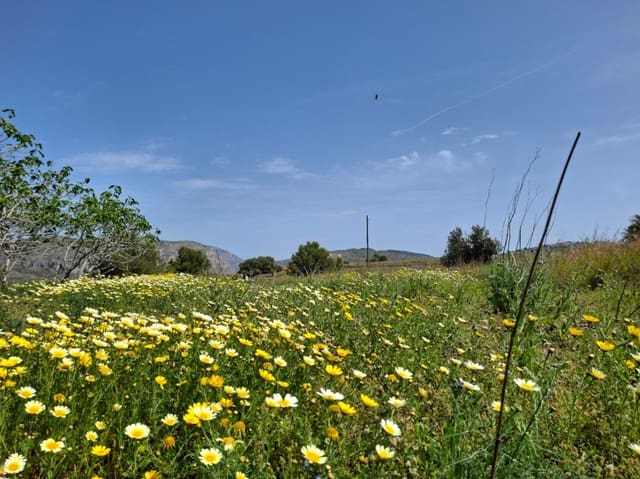 Działka budowlana na sprzedaż w Teulada Pueblo, Teulada-Moraira - 1 800 000 € (Ref: 10102949)