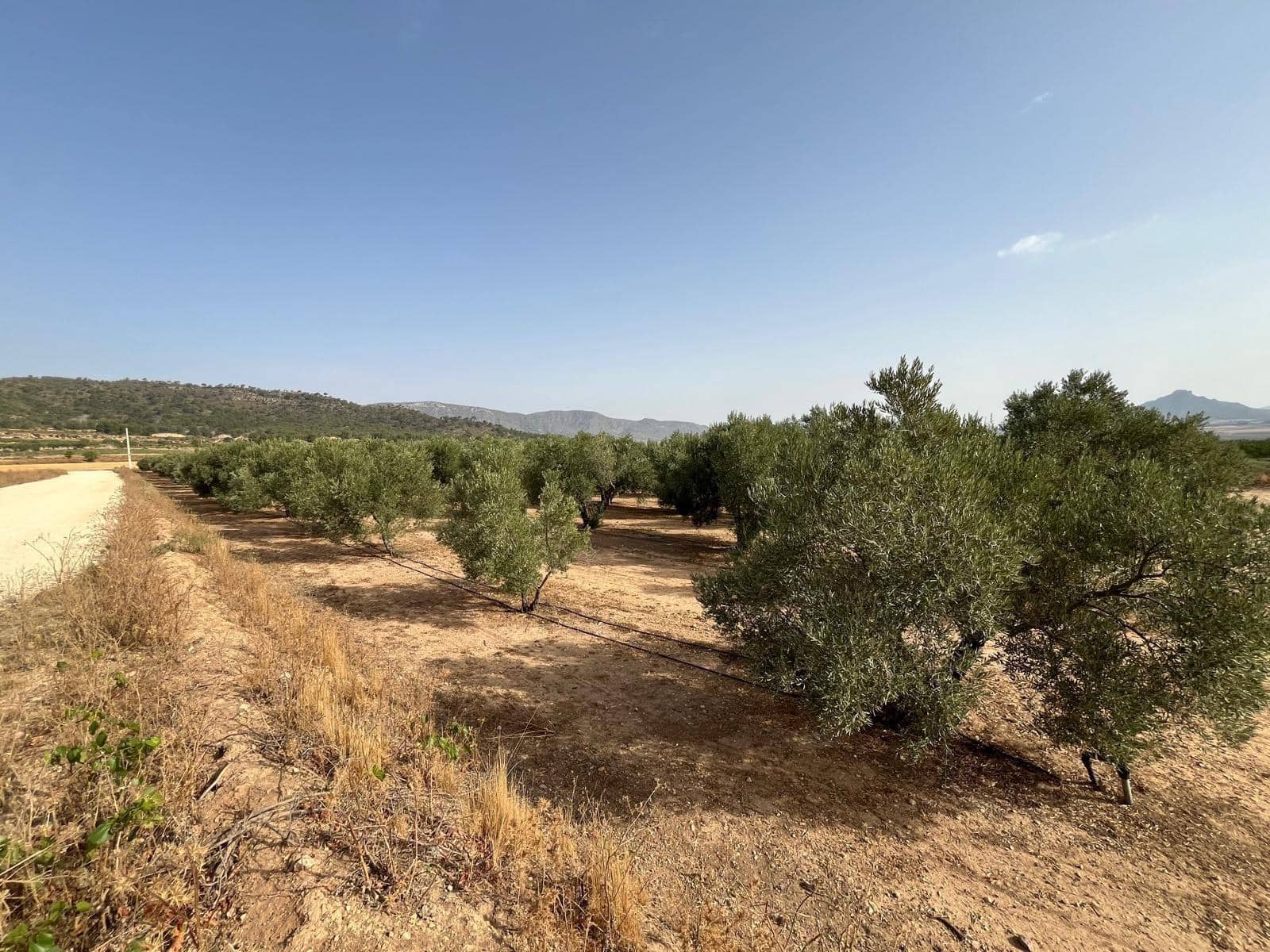 Grond te koop in Salinas - € 45.000 (Ref: 10009133)