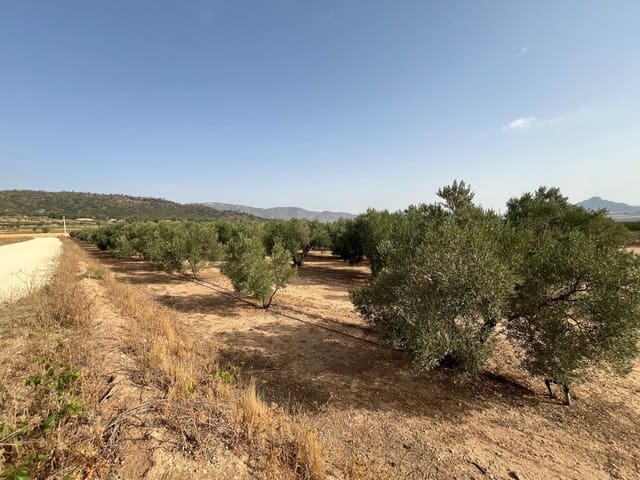 Grond te koop in Salinas - € 45.000 (Ref: 10009133)