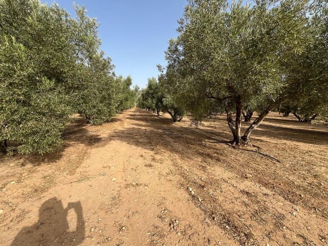 Grond te koop in Salinas - € 45.000 (Ref: 10009133)