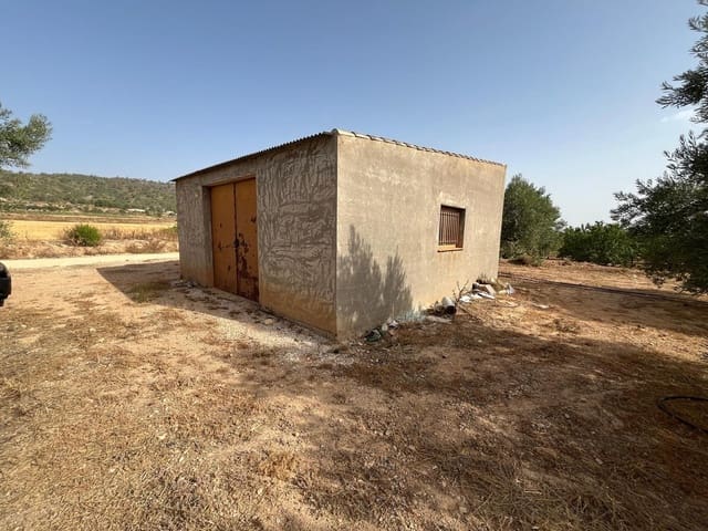 Finka/Dom wiejski na sprzedaż w Salinas - 60 000 € (Ref: 10009134)