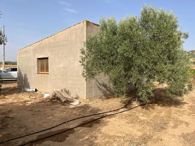 Finka/Dom wiejski na sprzedaż w Salinas - 60 000 € (Ref: 10009134)