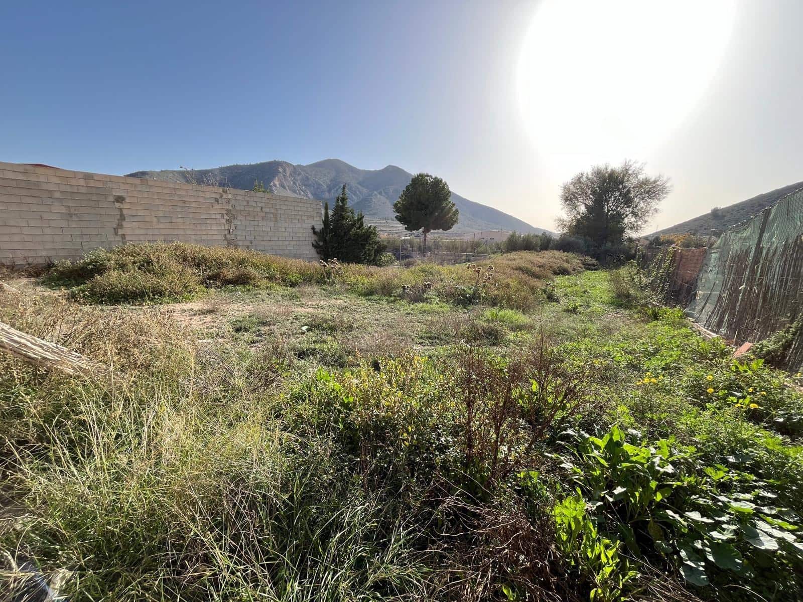 Tomt till salu i L'Alguena / Alguenya - 45 000 € (Ref: 9505982)