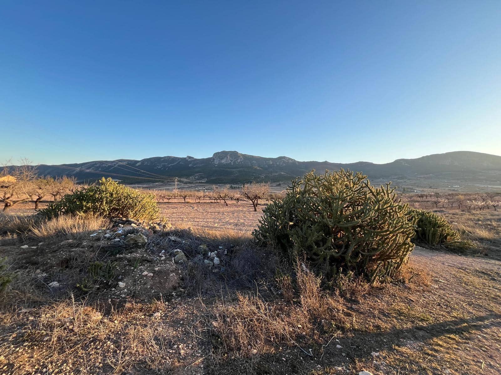 4 soveværelse Finca/Landehus til salg i La Romana - € 43.000 (Ref: 9505989)