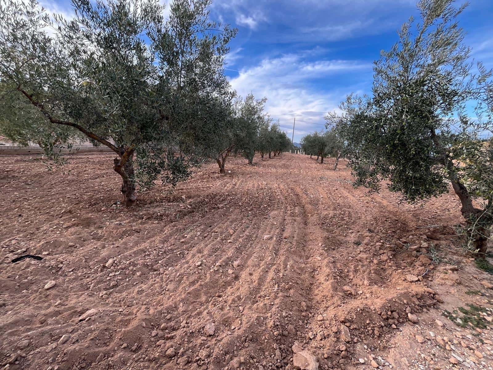 8 bedroom Finca/Country House for sale in Raspay - € 299,000 (Ref: 9505993)