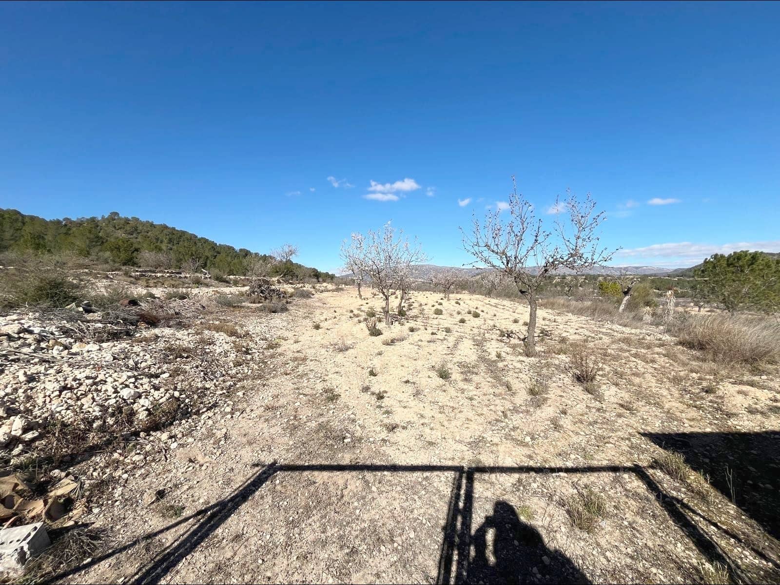 6 bedroom Finca/Country House for sale in Monovar / Monover - € 77,000 (Ref: 9505994)