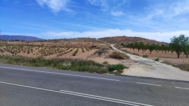 Area Edificabile in vendita in Pinoso - 45.000 € (Rif: 9938212)