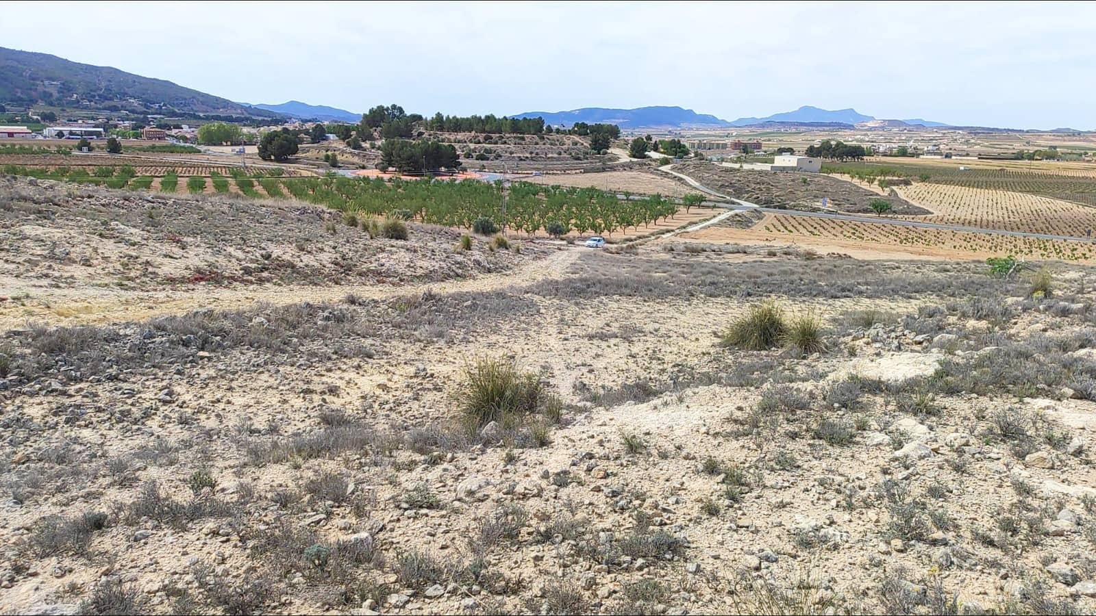 Area Edificabile in vendita in Pinoso - 45.000 € (Rif: 9938212)