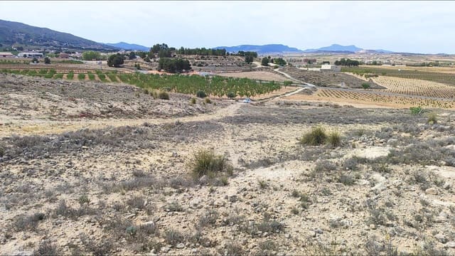 Area Edificabile in vendita in Pinoso - 45.000 € (Rif: 9938212)