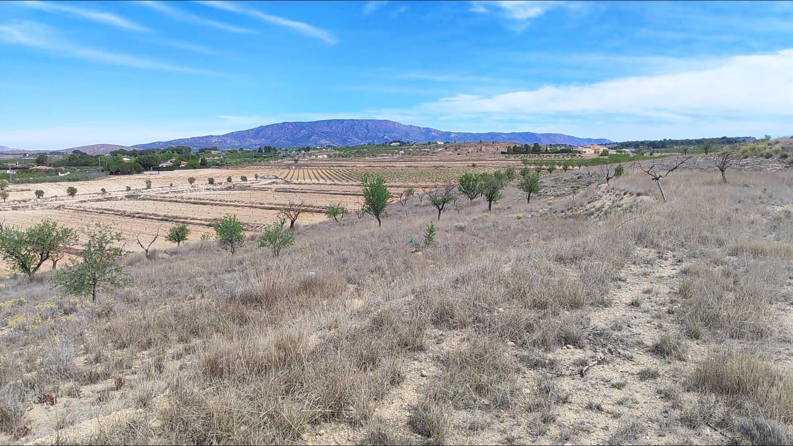 Area Edificabile in vendita in Pinoso - 45.000 € (Rif: 9938212)