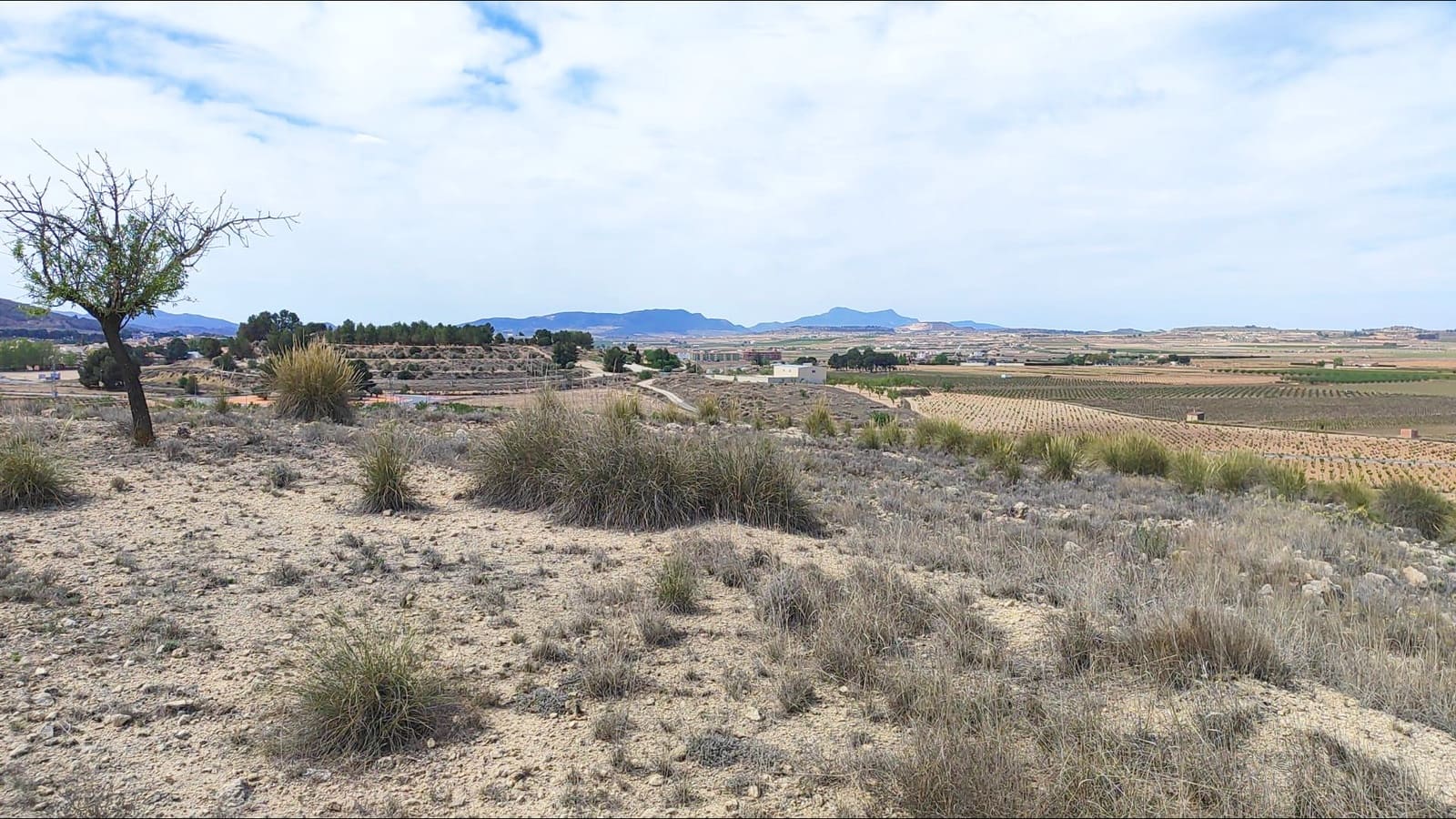 Area Edificabile in vendita in Pinoso - 45.000 € (Rif: 9938212)
