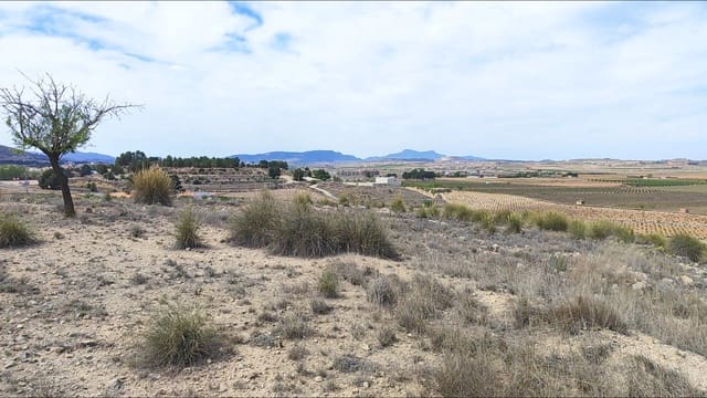 Area Edificabile in vendita in Pinoso - 45.000 € (Rif: 9938212)