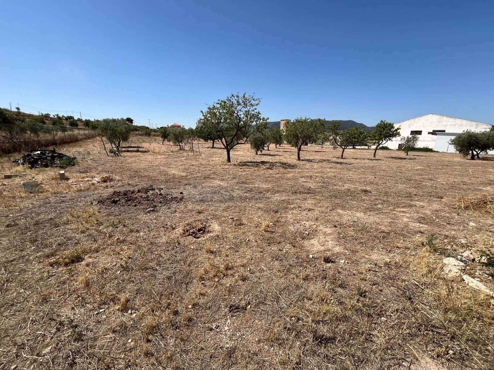 5 bedroom Finca/Country House for sale in Jumilla - € 158,000 (Ref: 9939987)
