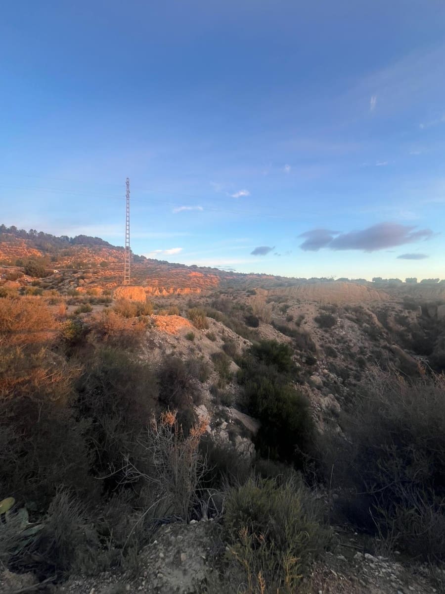 Undeveloped Land for sale in Albudeite - € 159,900 (Ref: 9823237)