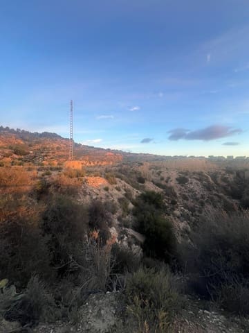 Undeveloped Land for sale in Albudeite - € 159,900 (Ref: 9823237)