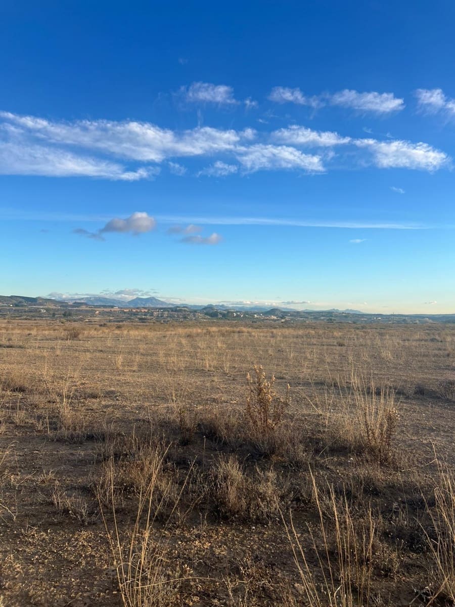 Undeveloped Land for sale in Albudeite - € 159,900 (Ref: 9823237)