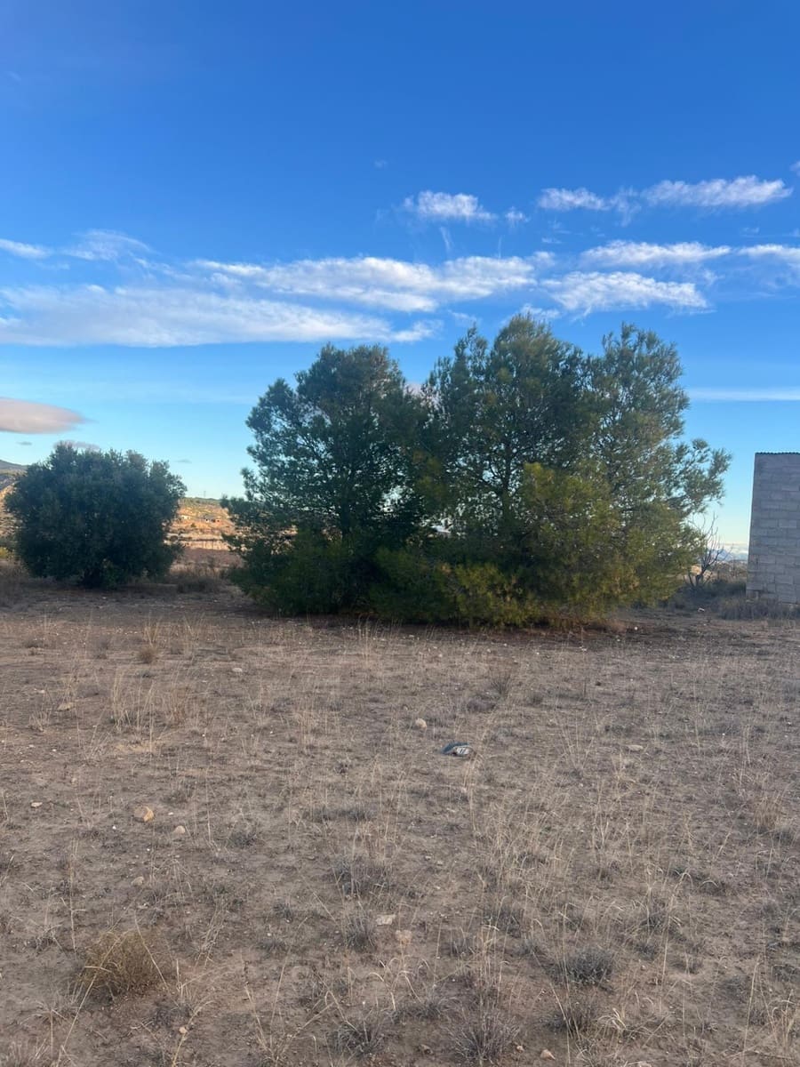 Undeveloped Land for sale in Albudeite - € 159,900 (Ref: 9823237)