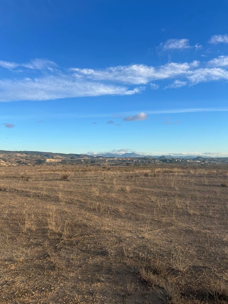 Undeveloped Land for sale in Albudeite - € 159,900 (Ref: 9823237)