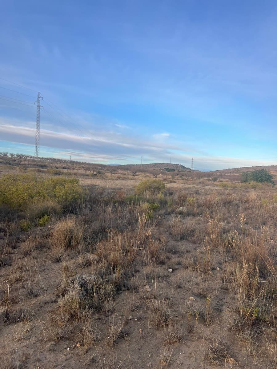 Undeveloped Land for sale in Albudeite - € 159,900 (Ref: 9823237)