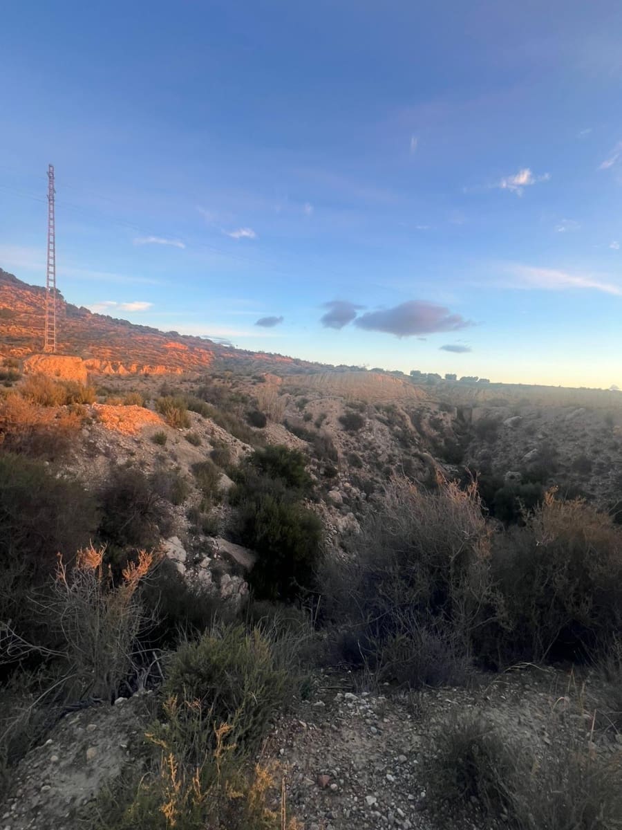 Undeveloped Land for sale in Albudeite - € 159,900 (Ref: 9823237)