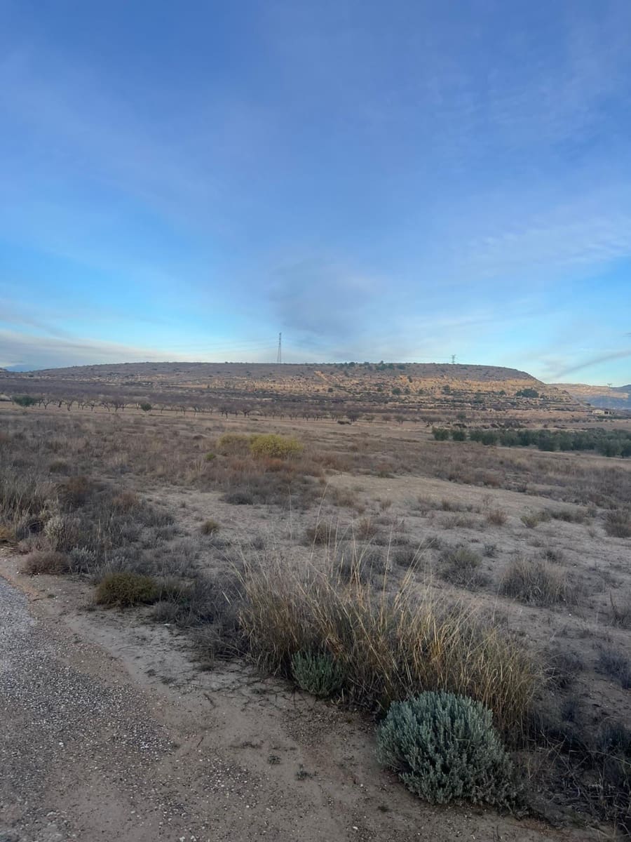 Undeveloped Land for sale in Albudeite - € 159,900 (Ref: 9823237)