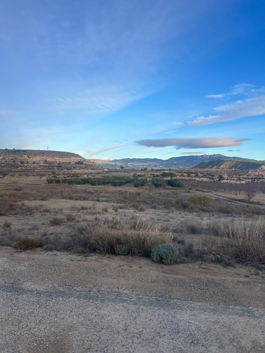 Undeveloped Land for sale in Albudeite - € 159,900 (Ref: 9823237)